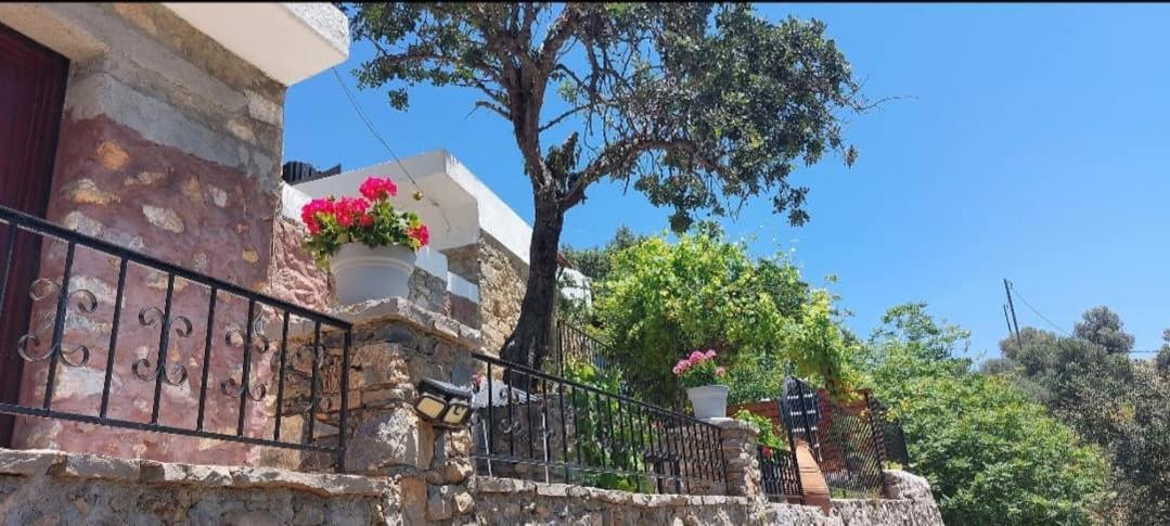 Villa Sarichel Nikithianos Dış mekan fotoğraf
