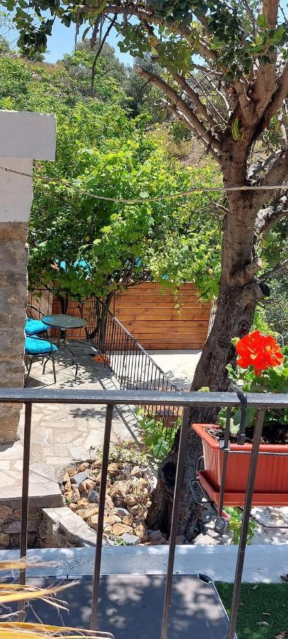 Villa Sarichel Nikithianos Dış mekan fotoğraf